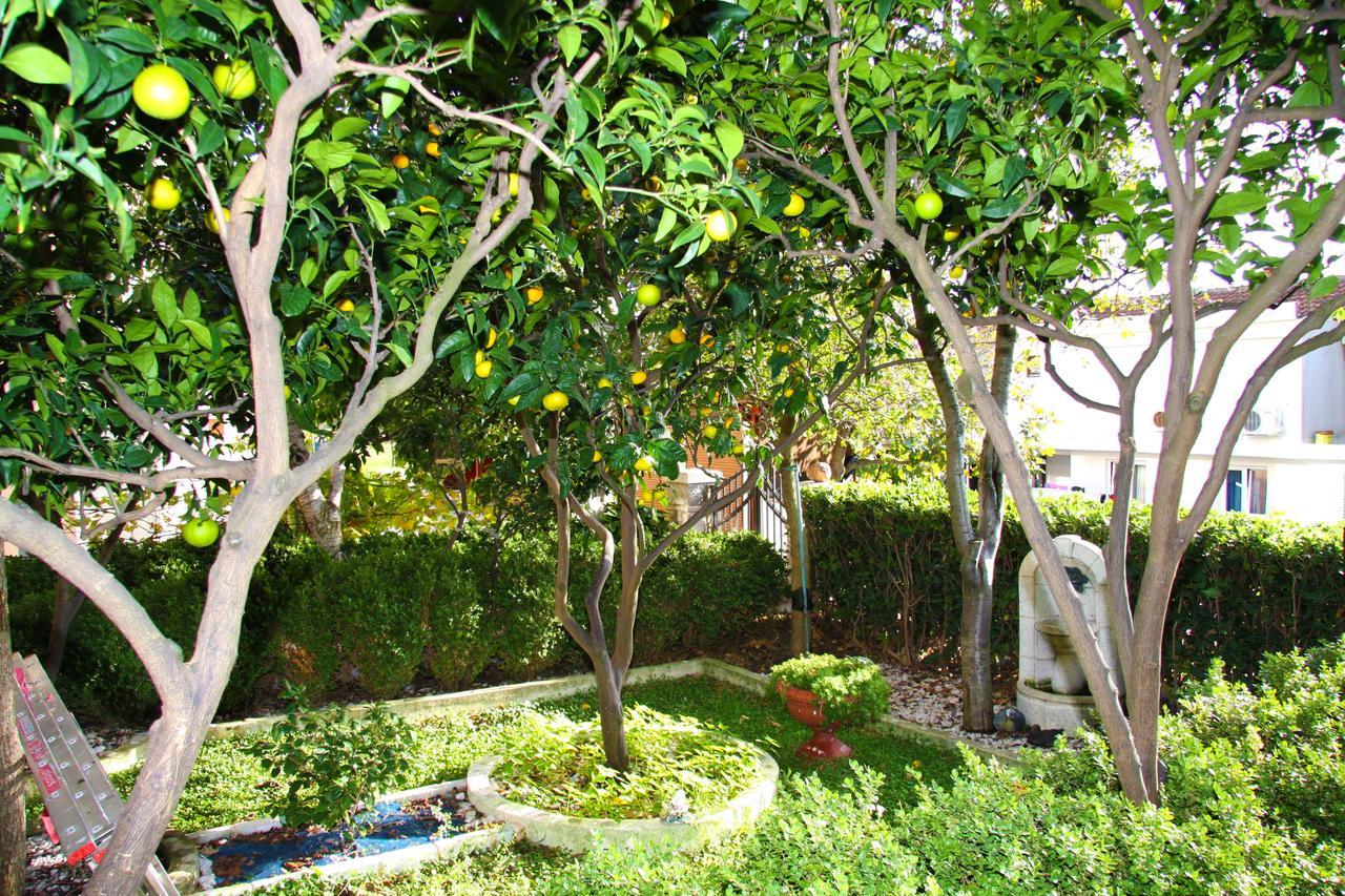 Mm Kovacevic Apartments Petrovac ภายนอก รูปภาพ