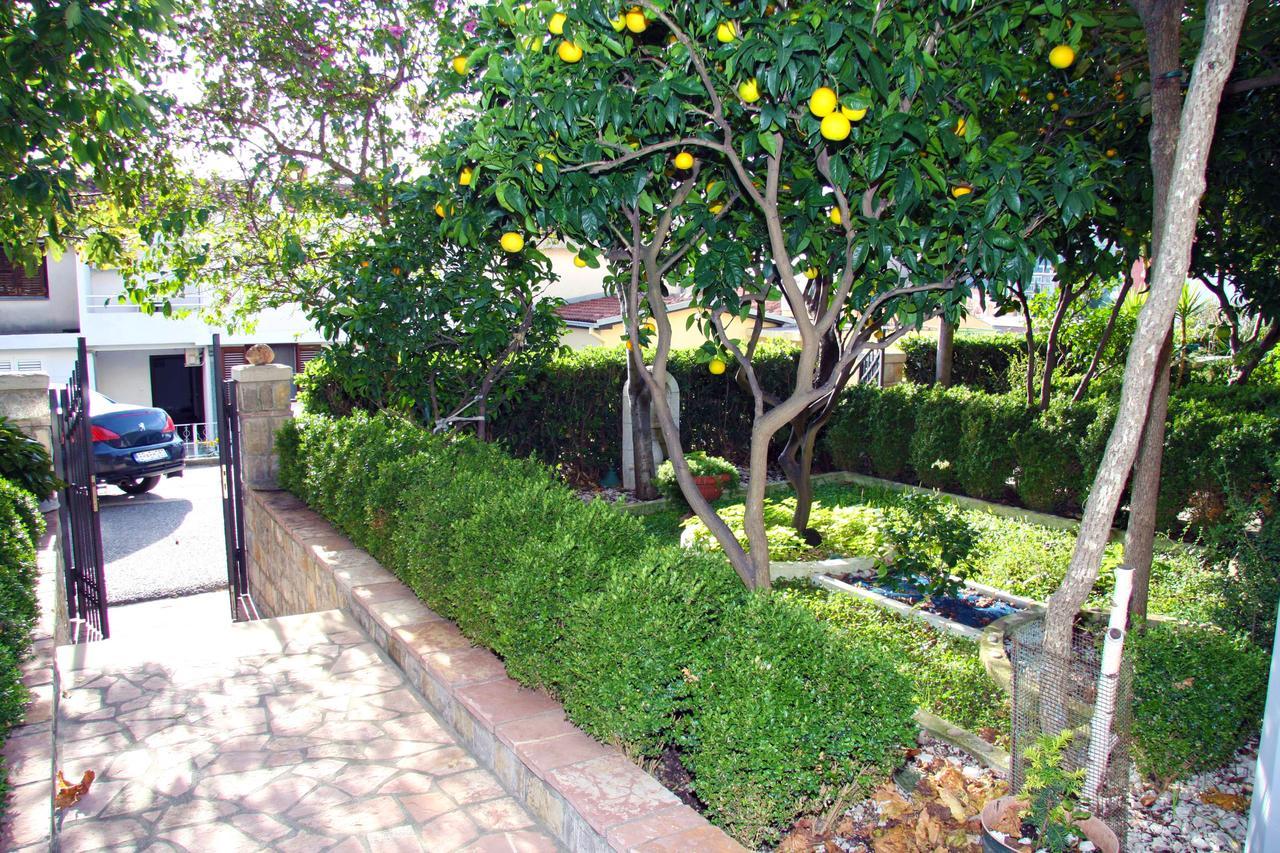 Mm Kovacevic Apartments Petrovac ภายนอก รูปภาพ